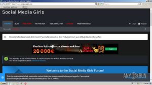 What are Socialmediagirls? Features, Pros & Cons