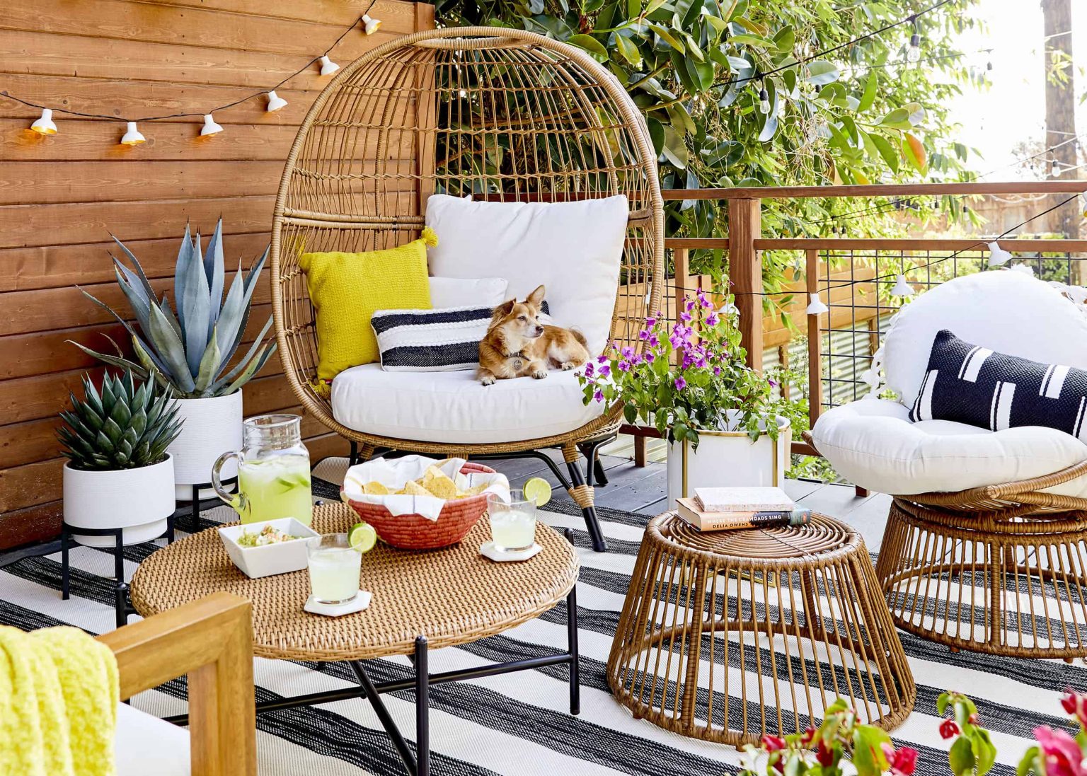 Crafting an Inviting Outdoor Haven: Plastic Chairs and Cozy Swing Chairs